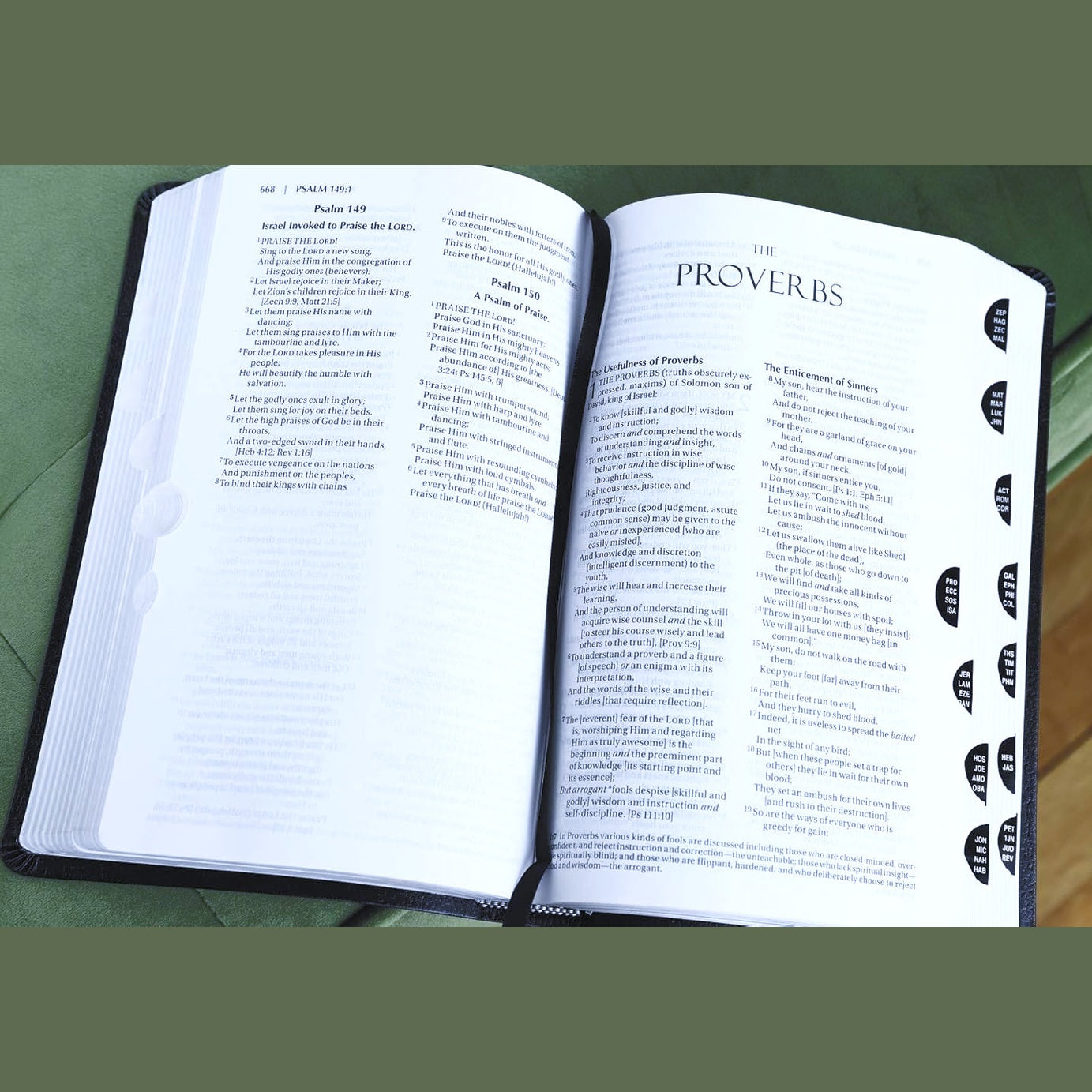 Amplified Holy Bible, Bonded Leather, Black, Thumb Indexed image 2