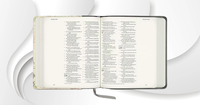 ESV Journaling Bible: Wide Ruled Notes, Elegant Cover image 2