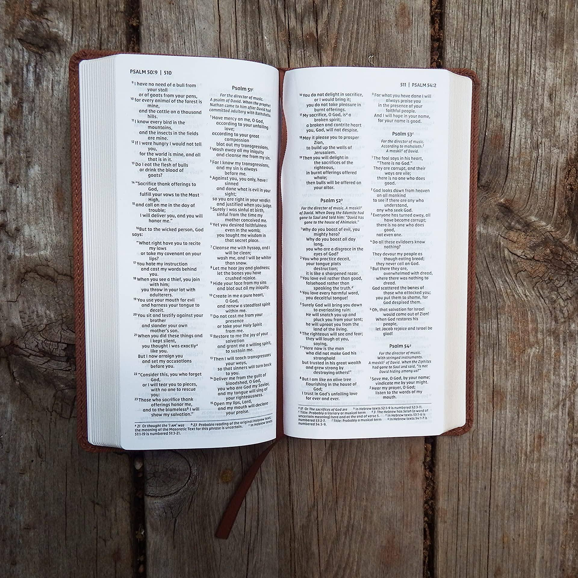 NIV, Pocket Bible, Red Letter Edition, Thinline Brown image 1