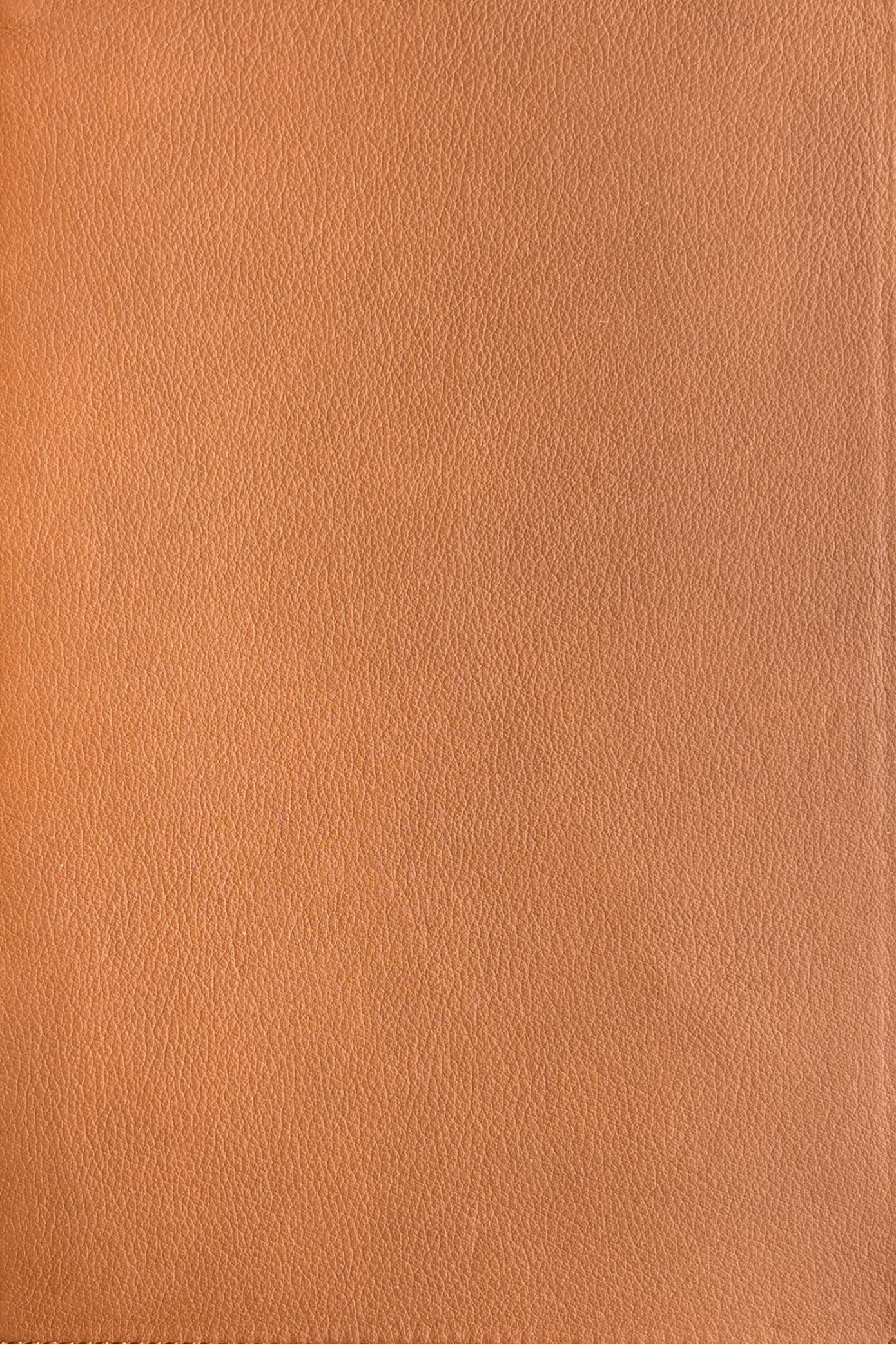 NIV Large-Print Thompson-Chain Reference Bible, Comfort Print, Genuine Cowhide image 2