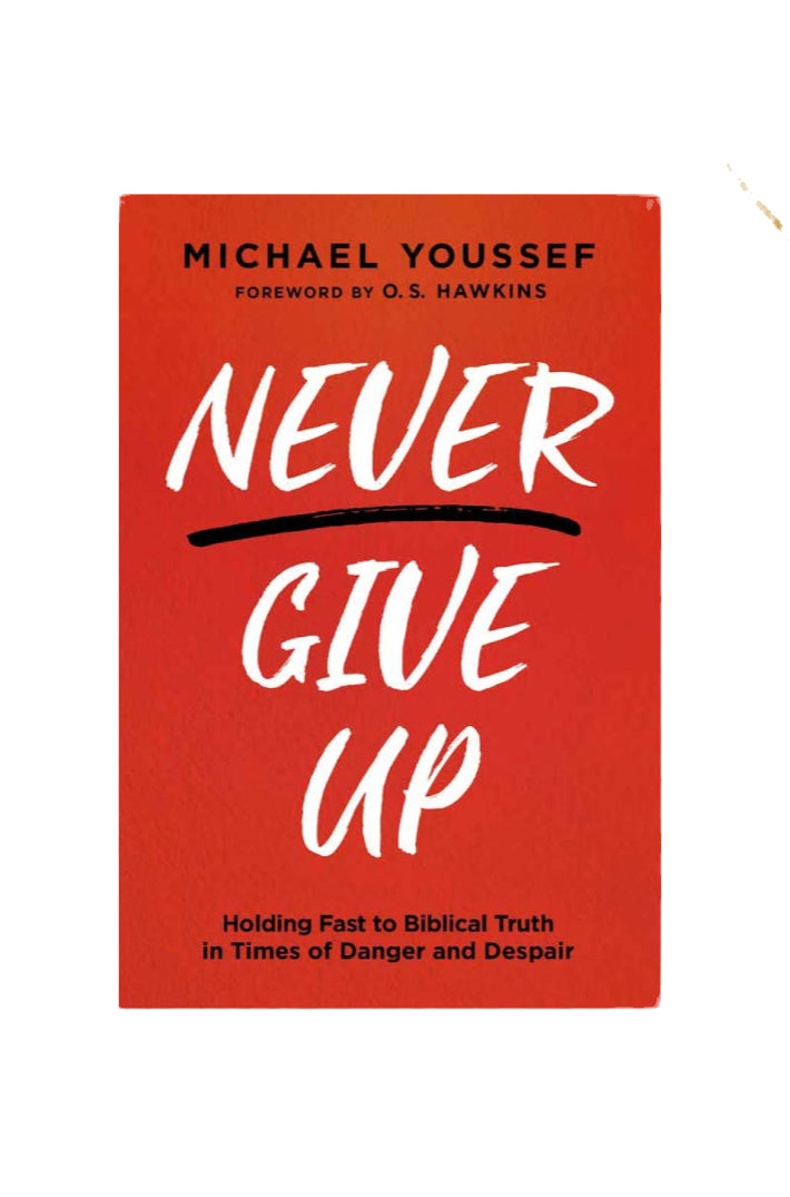 Never Give Up, Holding Fast to Biblical Truth in Times of Danger and Despair image 0