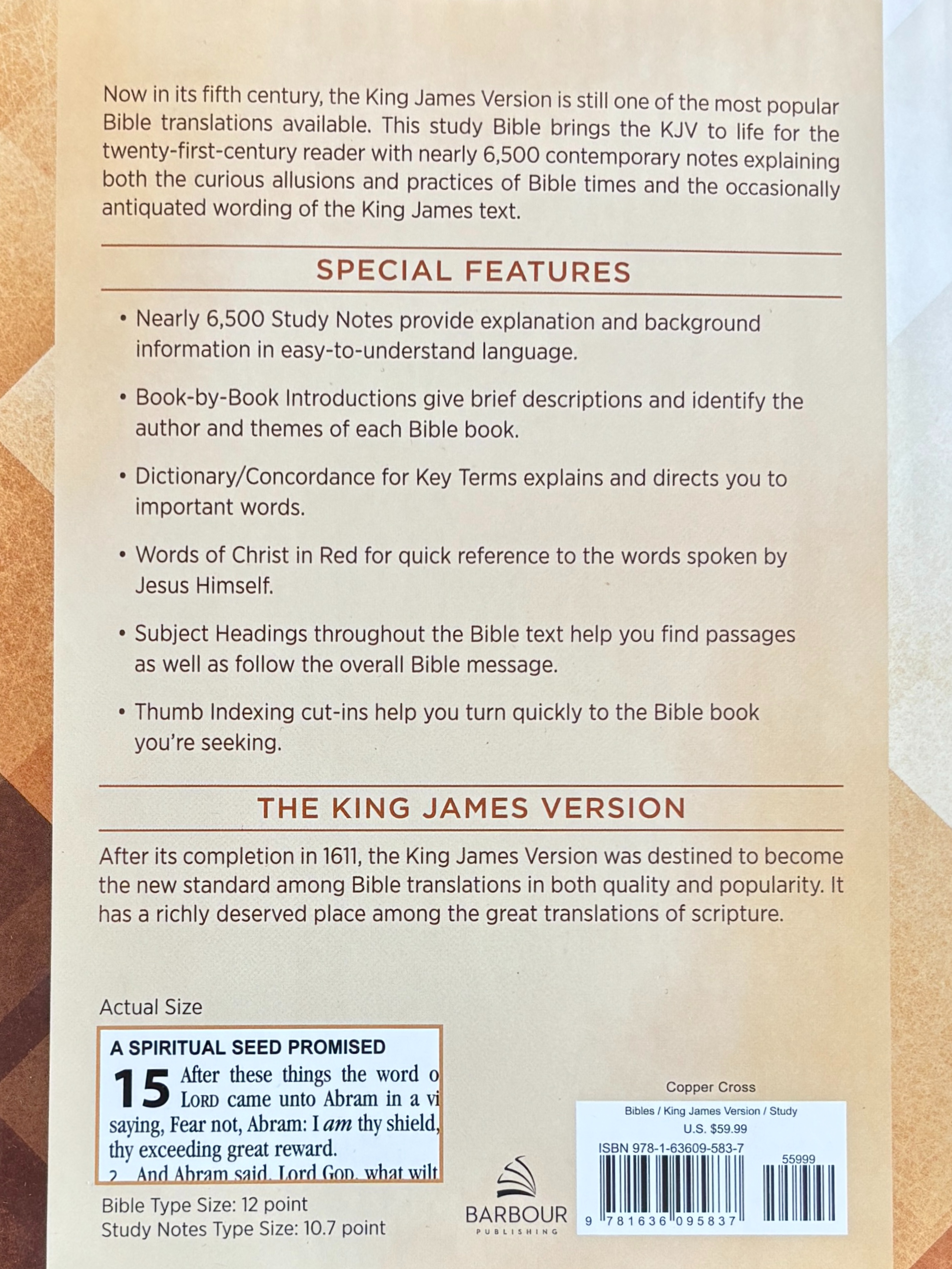 KJV Study Bible, Large Print, Indexed Copper Cross, Red Letter Edition image 1