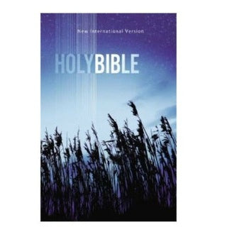 Outreach Bible: Low Cost Value Bible NIV Paperback image 0