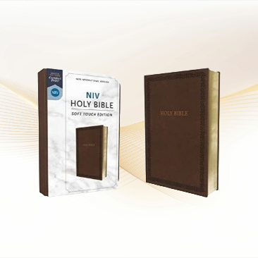 New International Bible, Easy To Read, Leathersoft Brown image 0