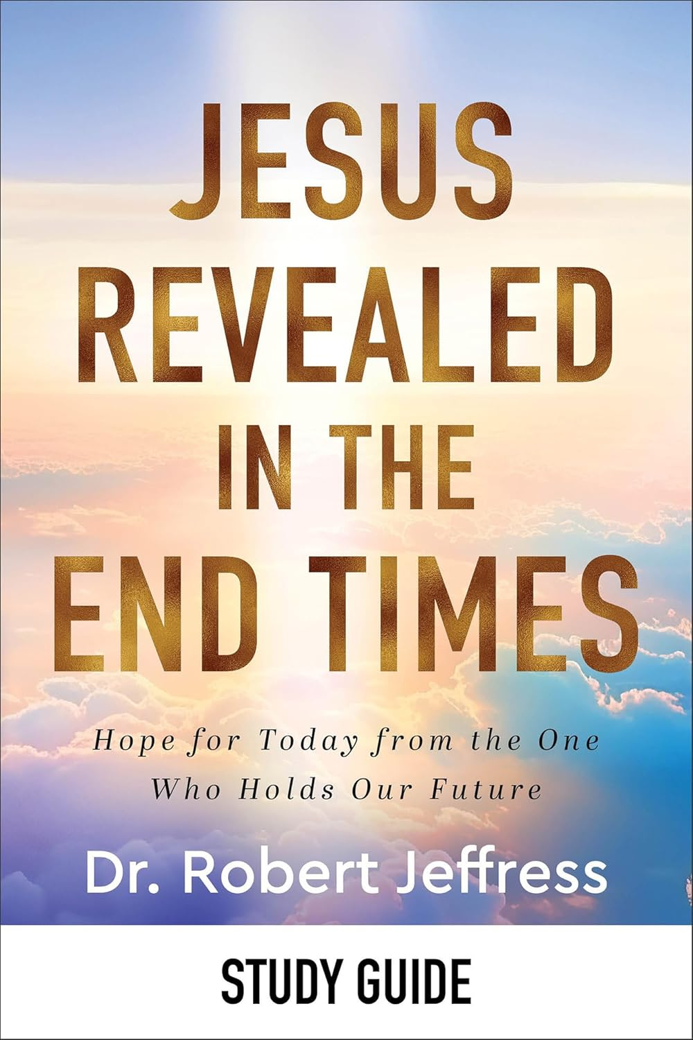 Jesus Revealed in the End Times, Hope for Today from One Who Holds the Future image 2