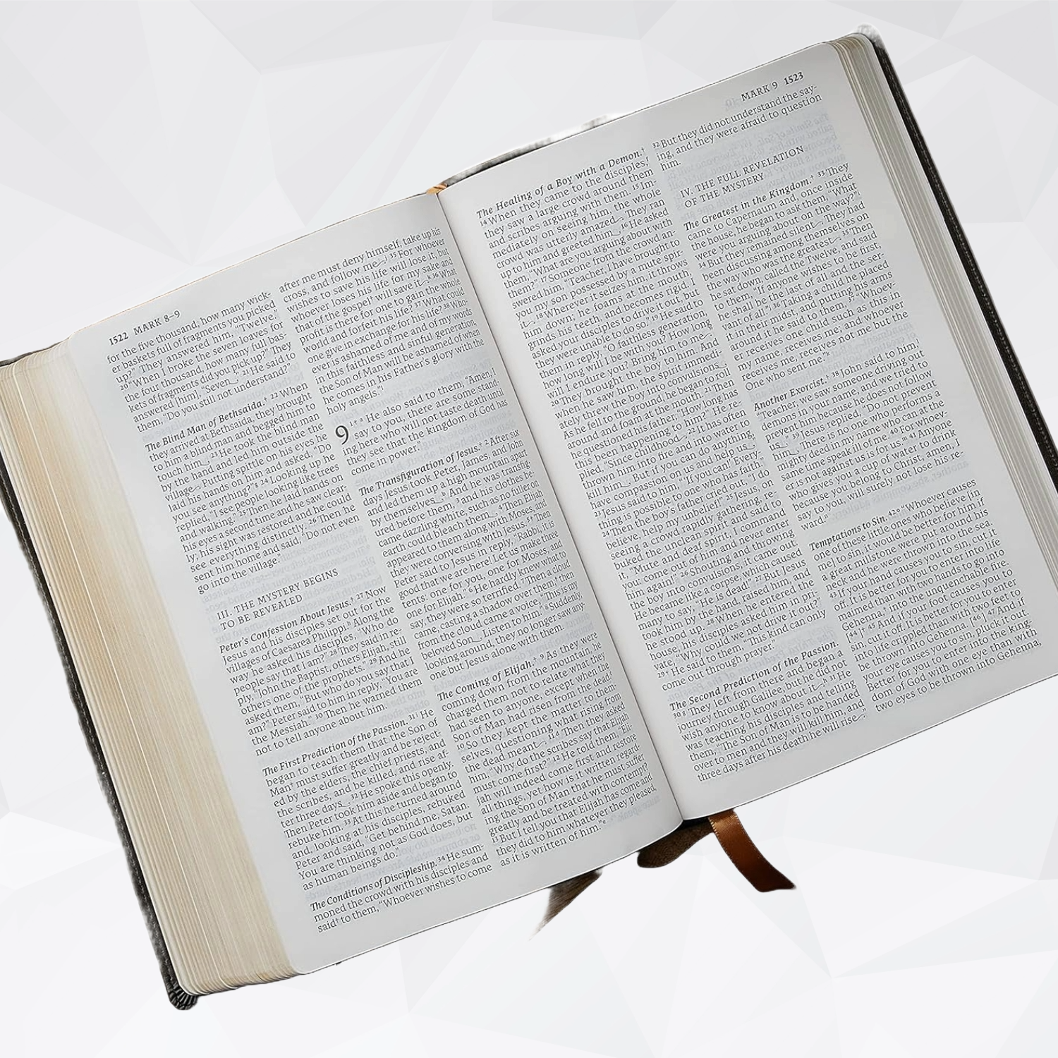 New American Revised Catholic Bible, Large Print, Leathersoft Black image 2