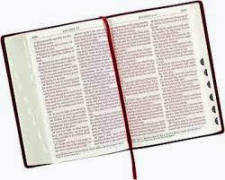 KJV Holy Bible, Thinline Large Print, Tan Faux Leather, Thumb Indexed image 1