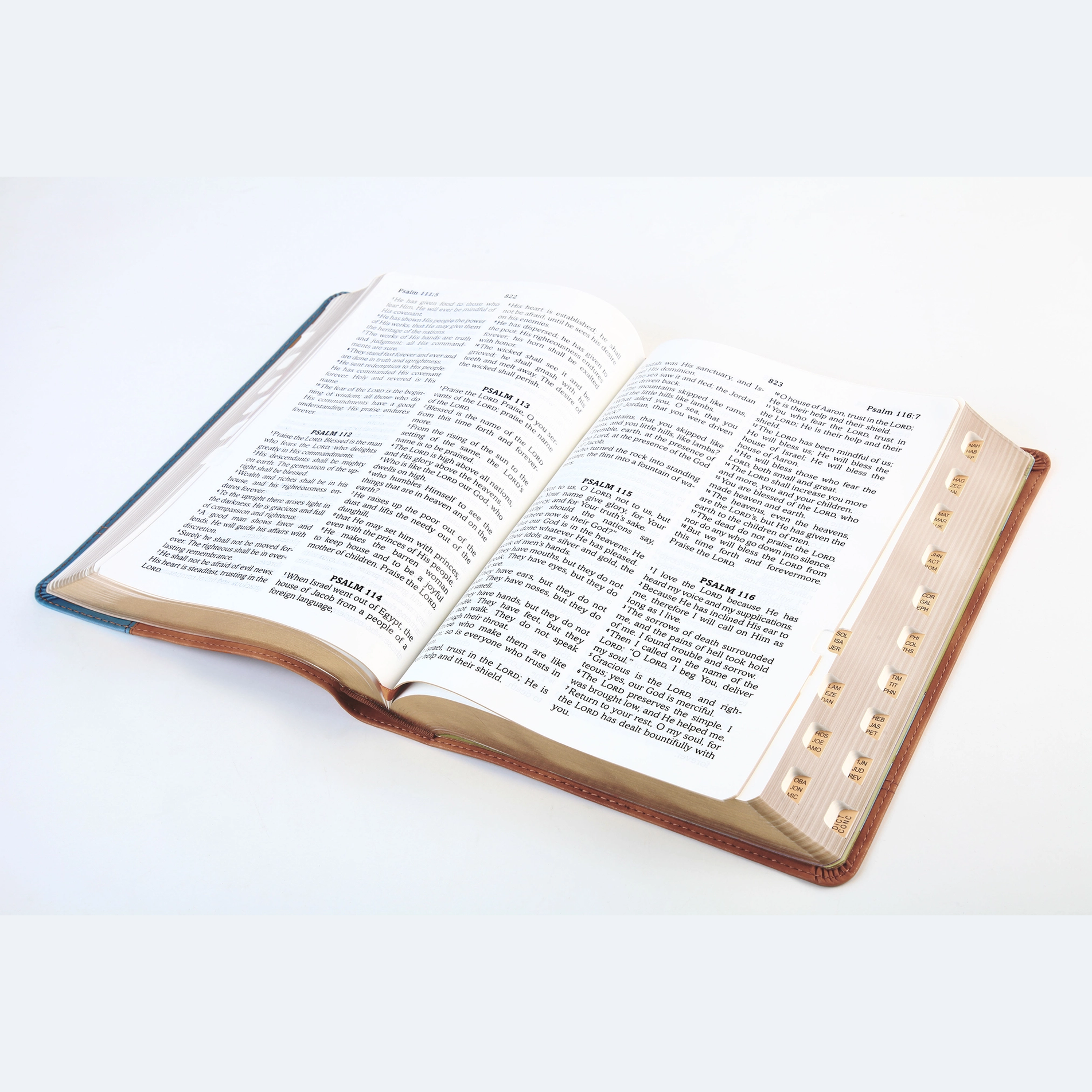 The Barbour Simplified KJV-Large Print Bible, Thumb Indexed [Rust & Stone Cross] image 2