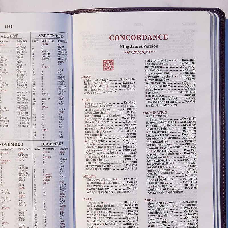KJV, Personal Size Reference Bible, Sovereign Collection, Leathersoft, Brown image 2