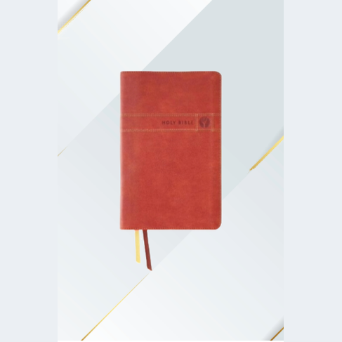 NIV Men's Devotional Bible, by Men For Men Leathersoft Brown image 0