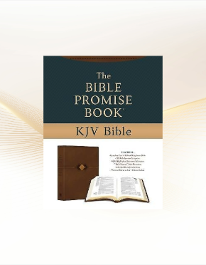 The Bible Promise Book KJV Bible  [Hickory Diamond] image 0