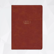 NIV Wide Margin Bible, Note Space, Leathersoft, Comfort Print image 2