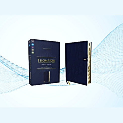 NIV, Thompson Chain Reference Bible, Handy Size, European Bonded Leather image 0
